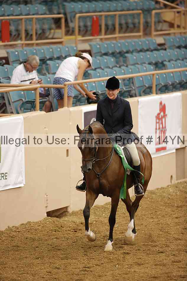 Proof Number 14yn_10863
