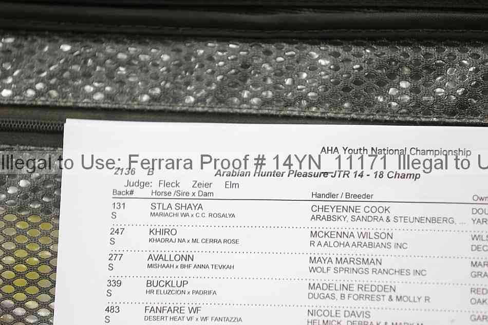 Proof Number 14yn_11171