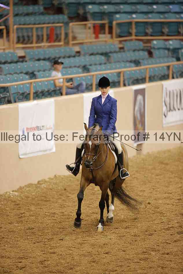 Proof Number 14yn_11190
