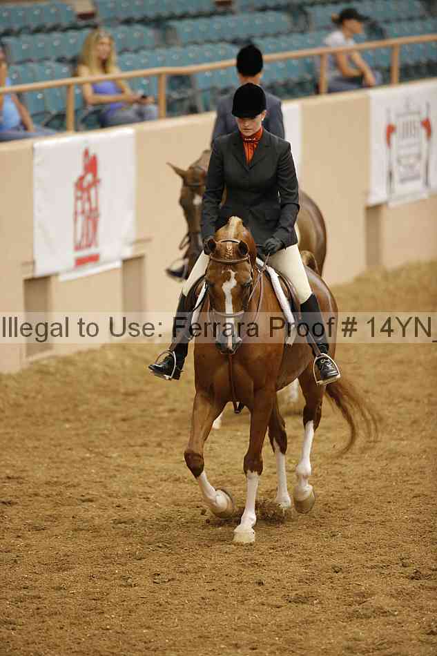 Proof Number 14yn_11205