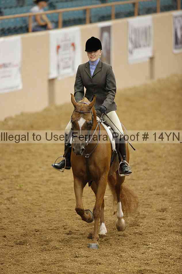 Proof Number 14yn_11206