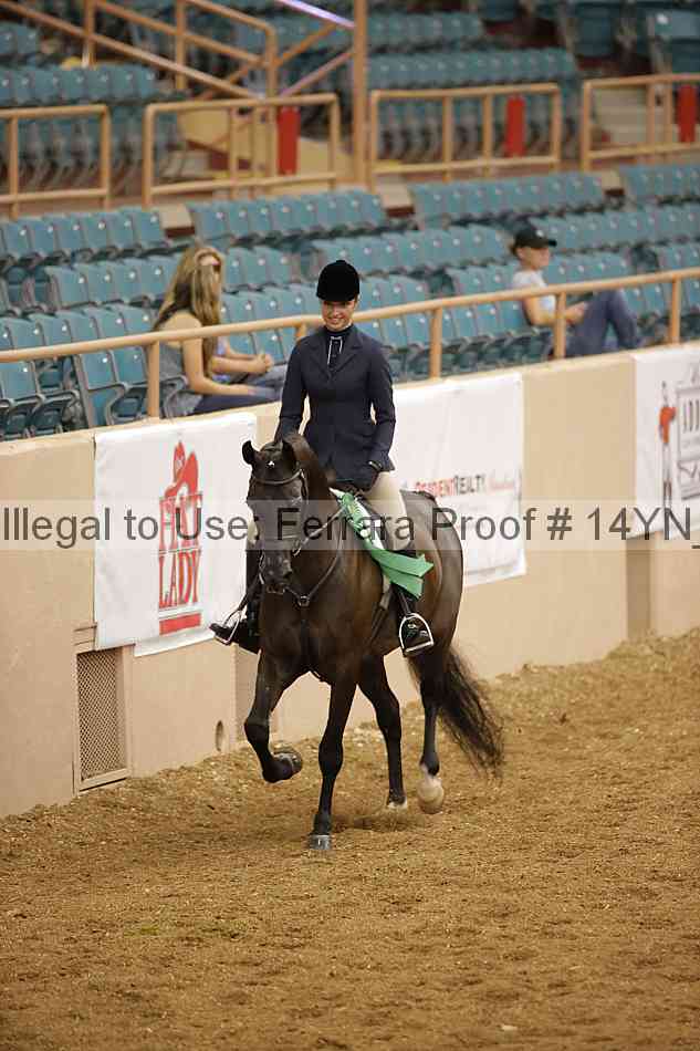 Proof Number 14yn_11231