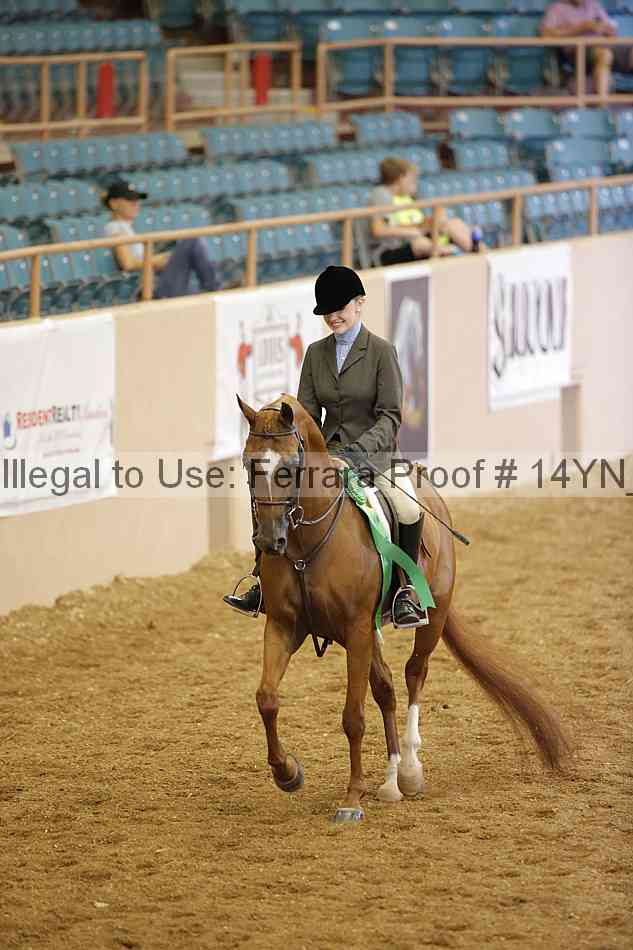 Proof Number 14yn_11234