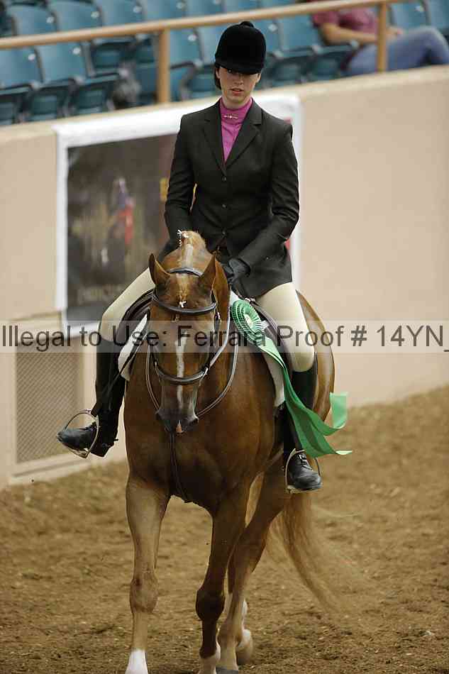 Proof Number 14yn_11245