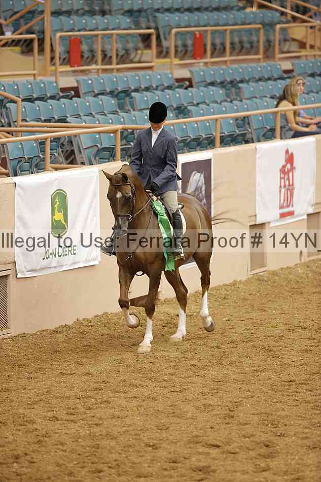 Proof Number 14yn_11255