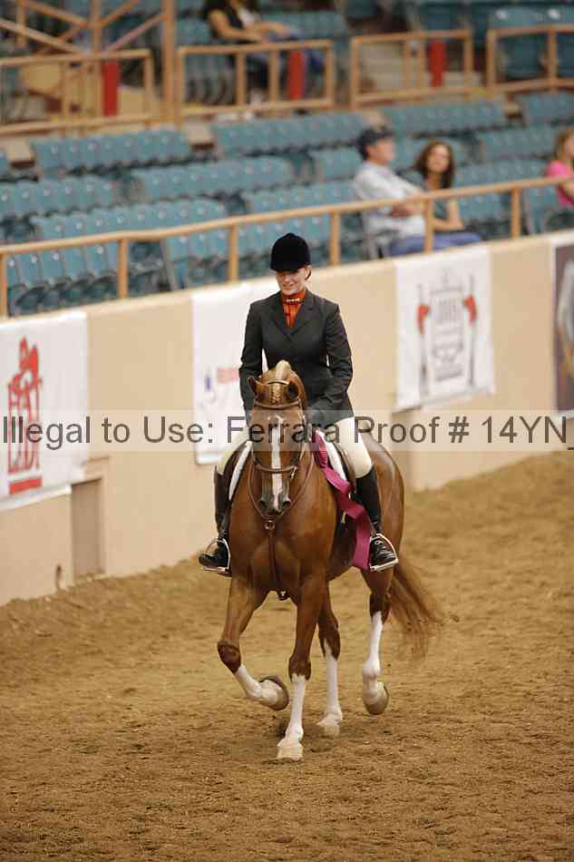 Proof Number 14yn_23707