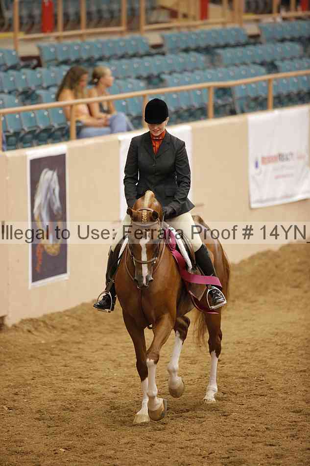 Proof Number 14yn_23708