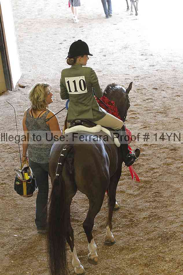 Proof Number 14yn_23761