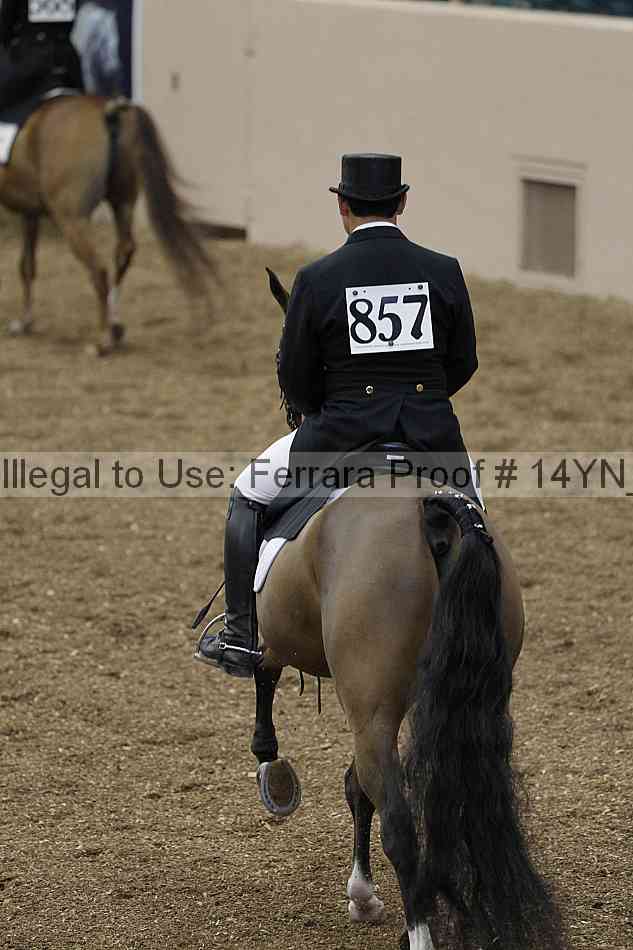 Proof Number 14yn_01847