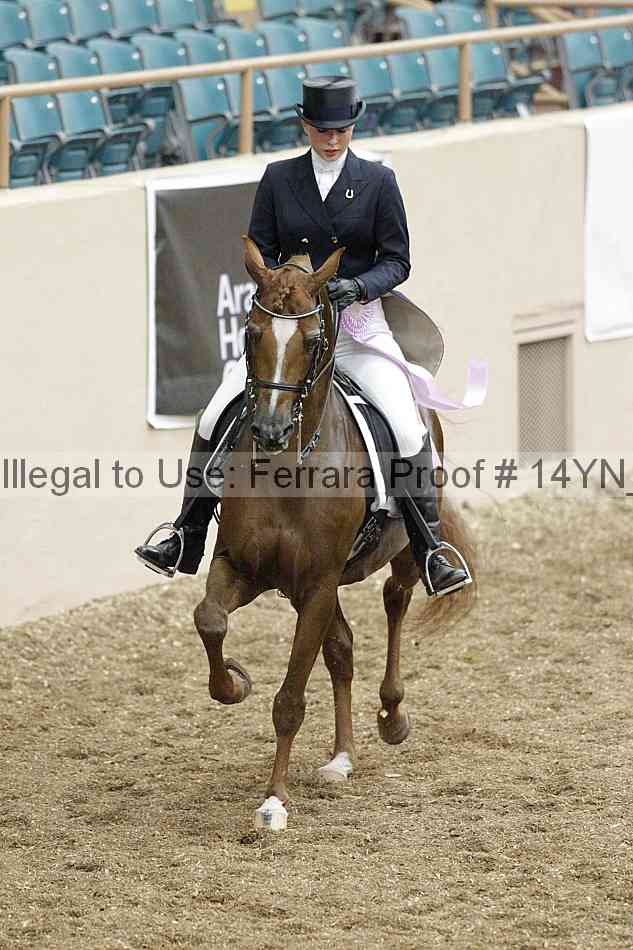 Proof Number 14yn_01904