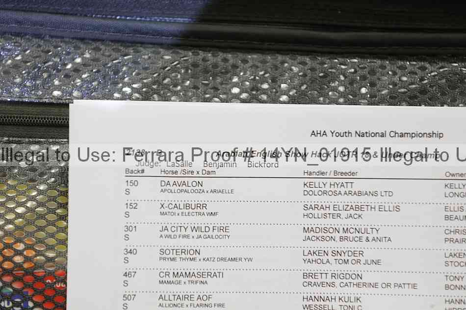 Proof Number 14yn_01915