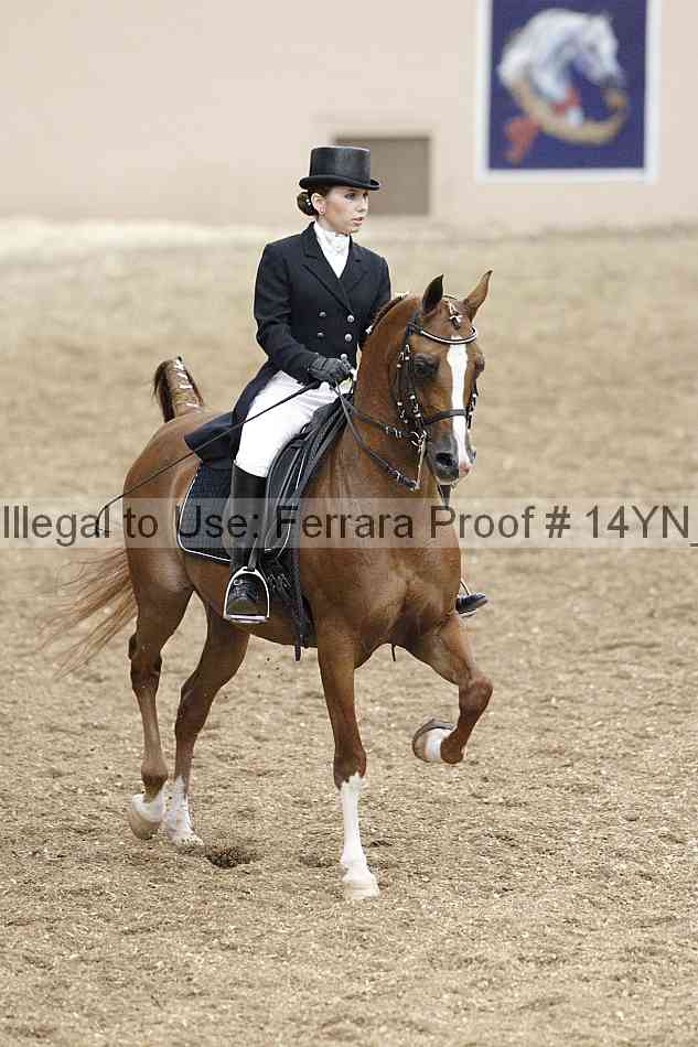 Proof Number 14yn_01935