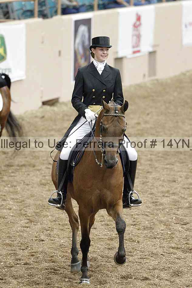 Proof Number 14yn_01942