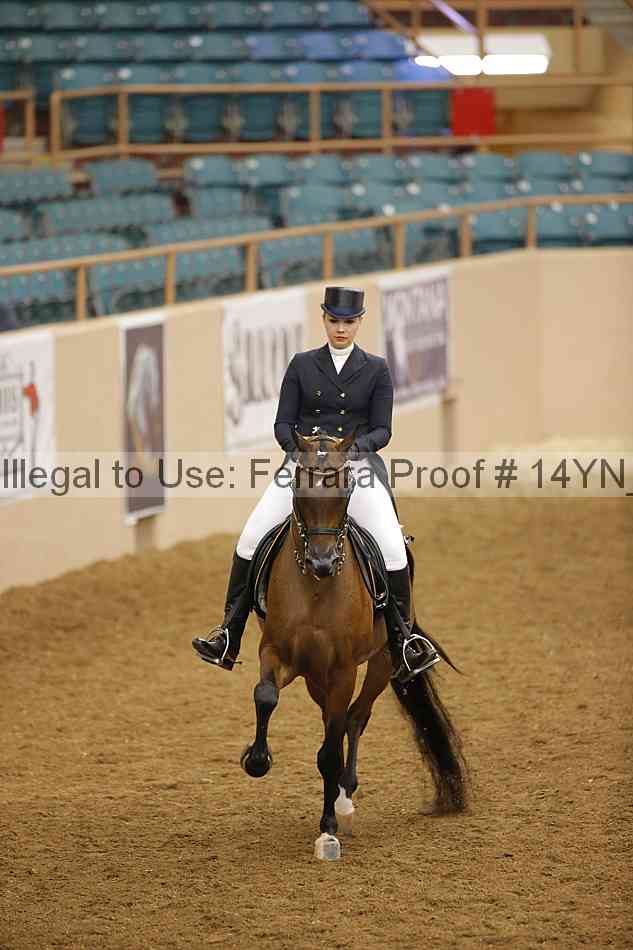 Proof Number 14yn_19935