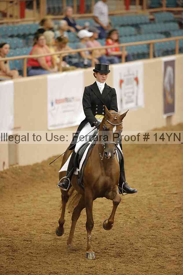 Proof Number 14yn_19939