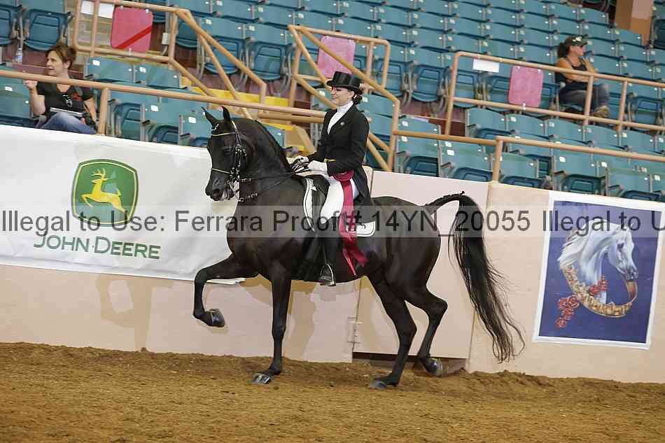 Proof Number 14yn_20055