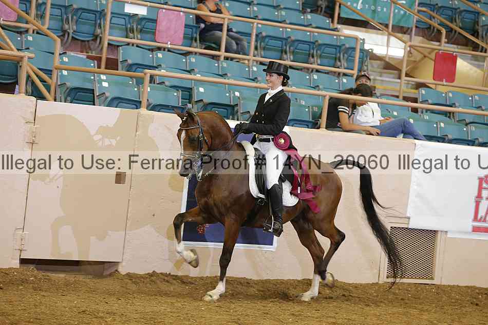 Proof Number 14yn_20060