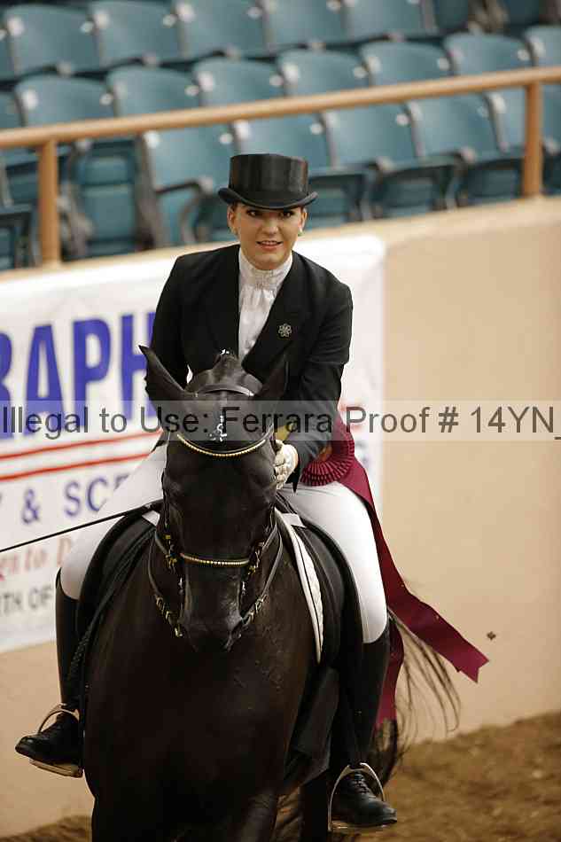Proof Number 14yn_20062