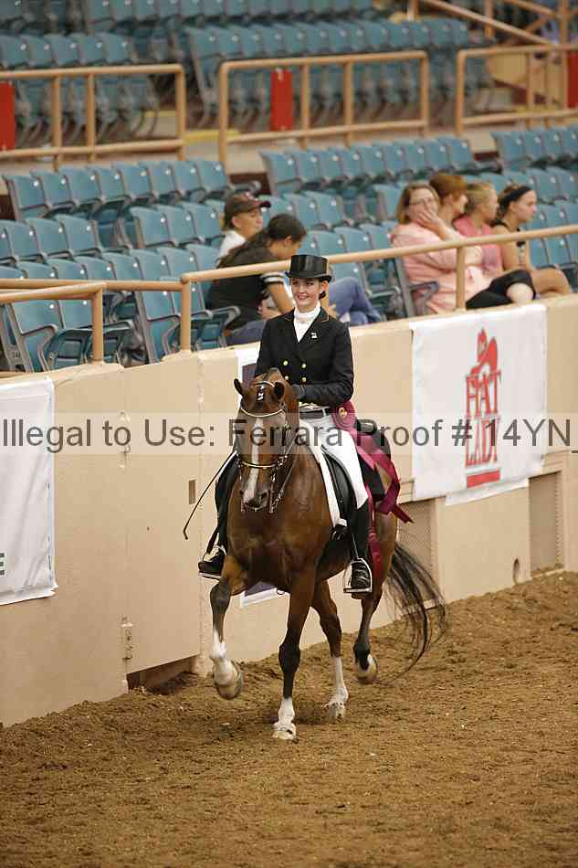 Proof Number 14yn_20064