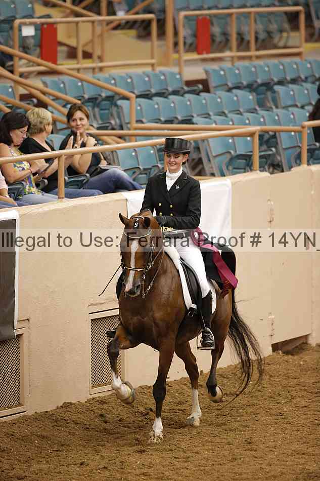 Proof Number 14yn_20066