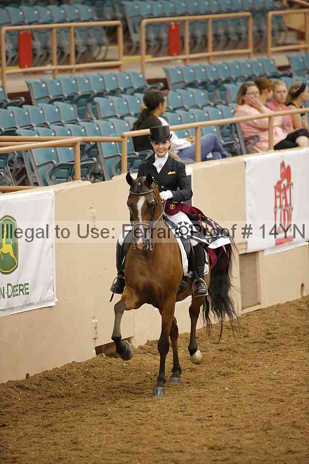 Proof Number 14yn_20071