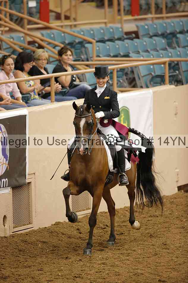 Proof Number 14yn_20072