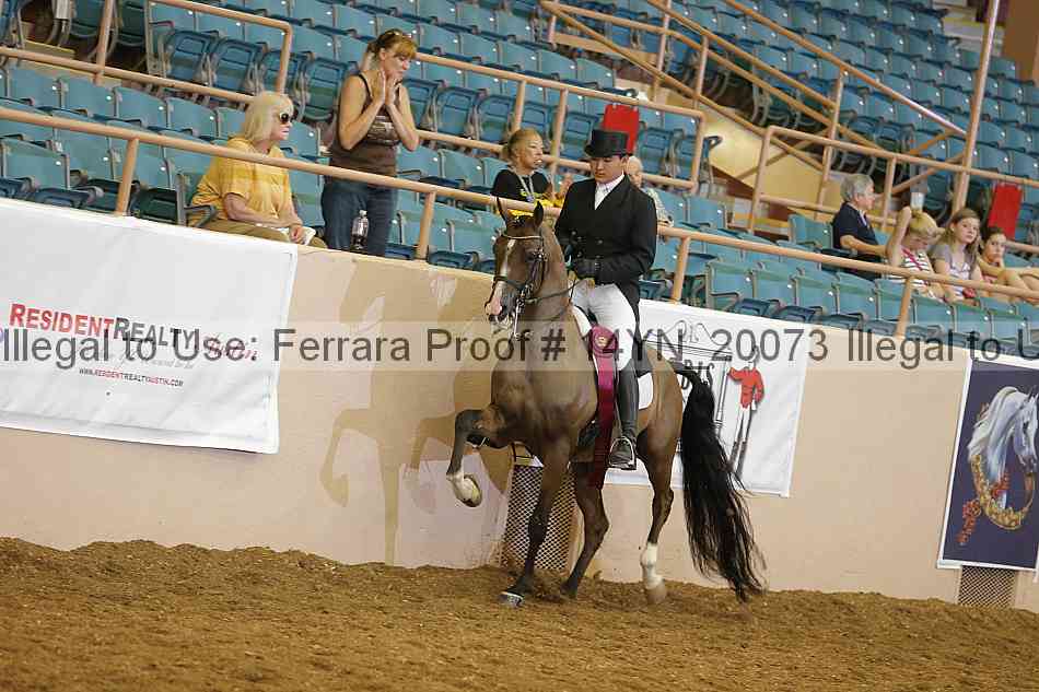 Proof Number 14yn_20073