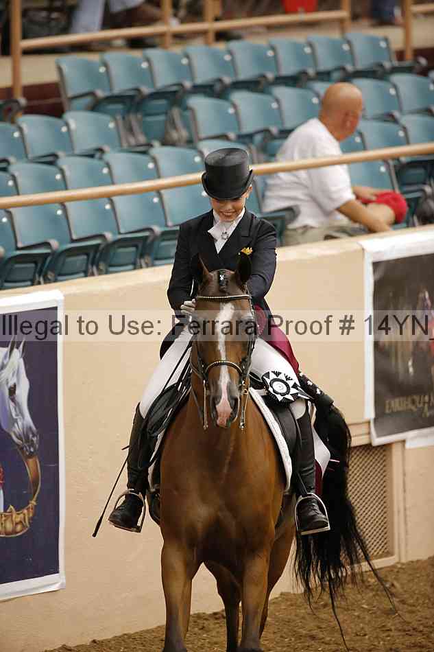 Proof Number 14yn_20075