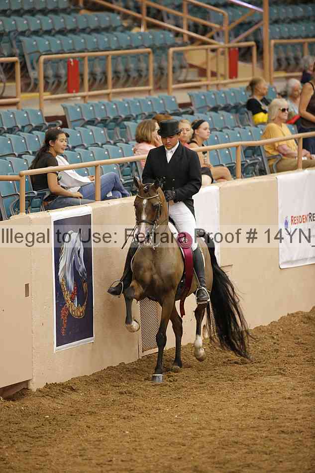 Proof Number 14yn_20079