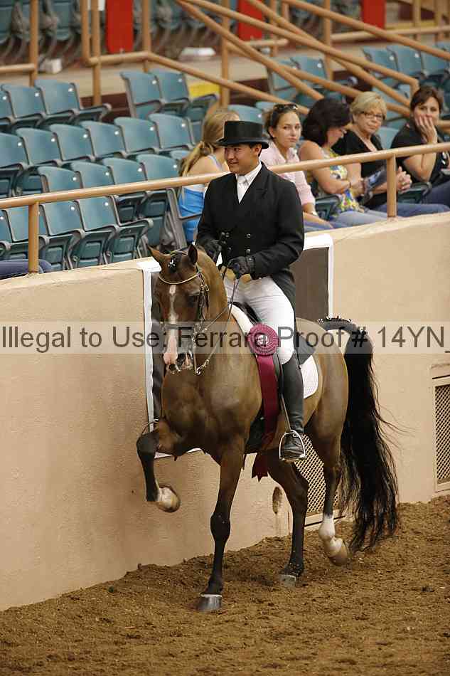 Proof Number 14yn_20081