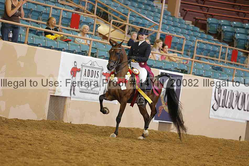 Proof Number 14yn_20082