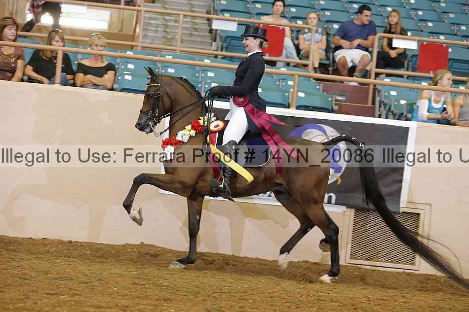 Proof Number 14yn_20086