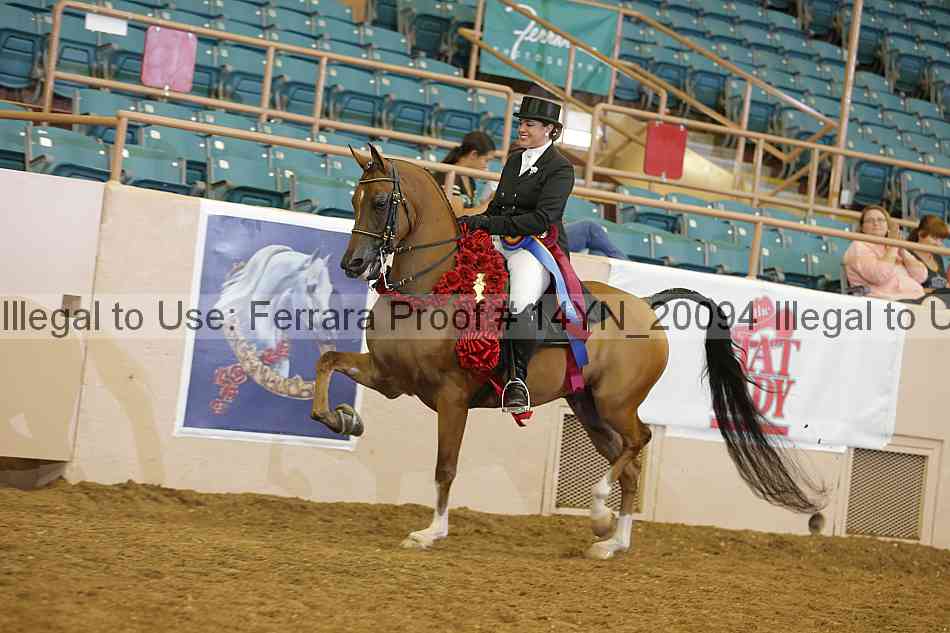 Proof Number 14yn_20094