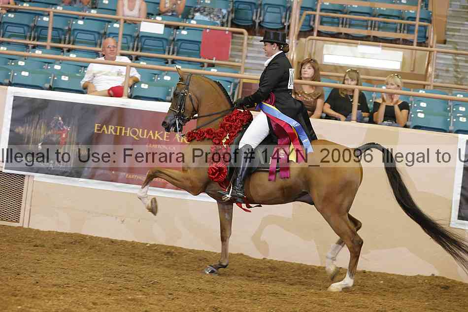 Proof Number 14yn_20096
