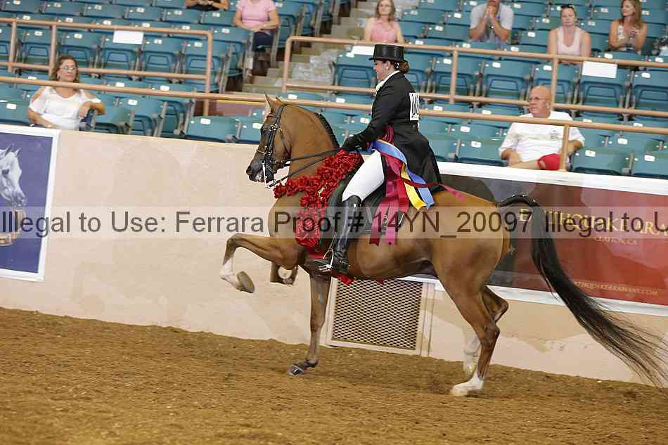 Proof Number 14yn_20097