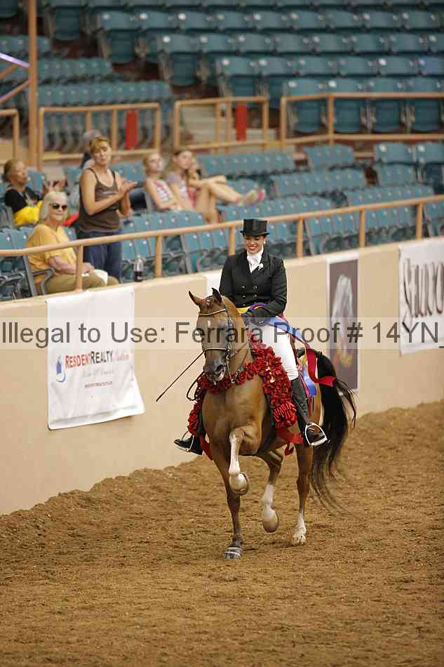 Proof Number 14yn_20098