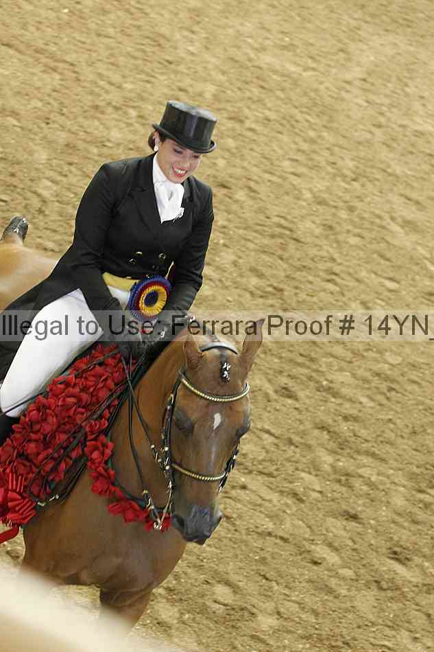 Proof Number 14yn_20108