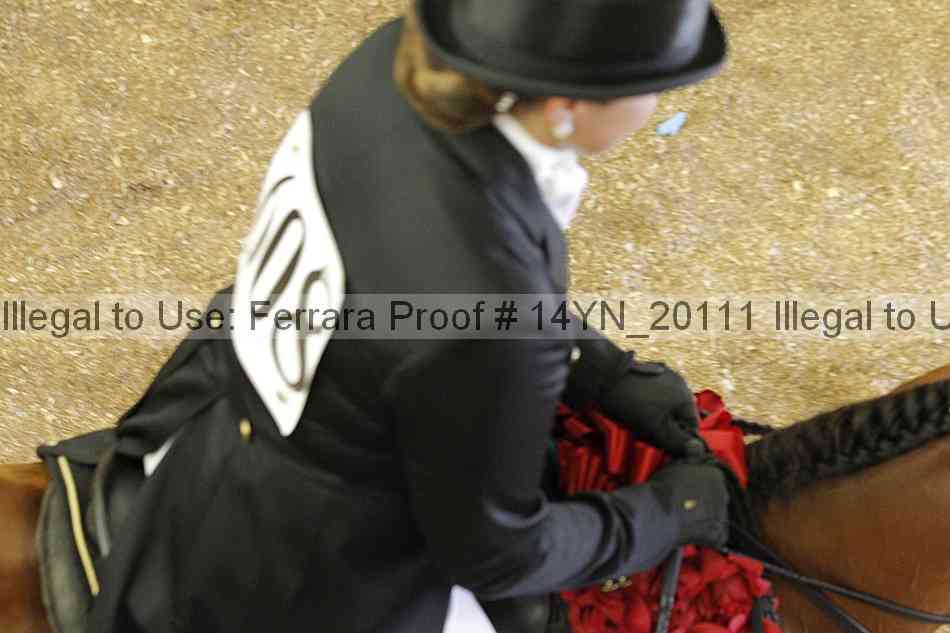 Proof Number 14yn_20111