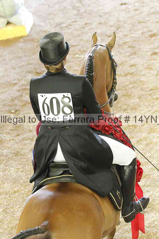 Proof Number 14yn_20113