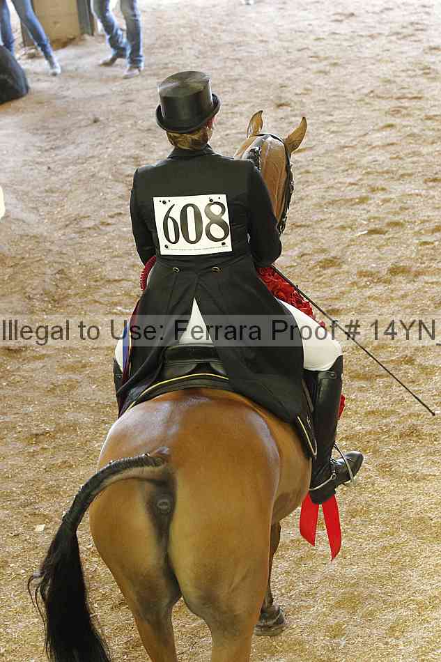 Proof Number 14yn_20114