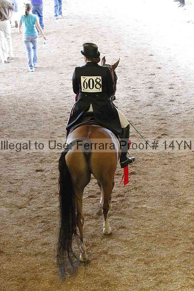 Proof Number 14yn_20116