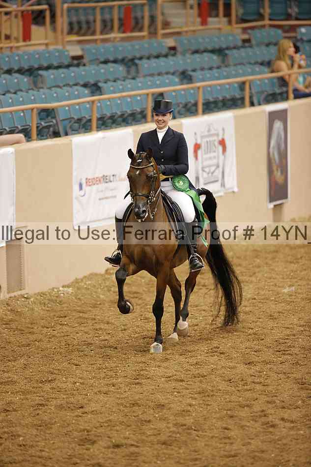 Proof Number 14yn_10406