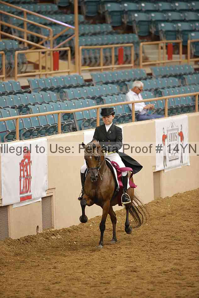 Proof Number 14yn_28005