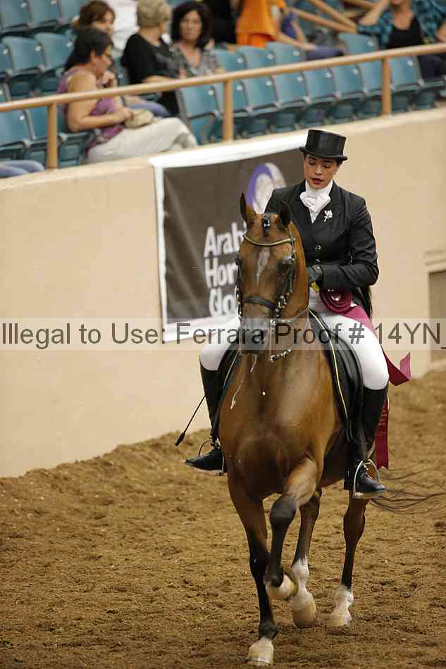 Proof Number 14yn_28031
