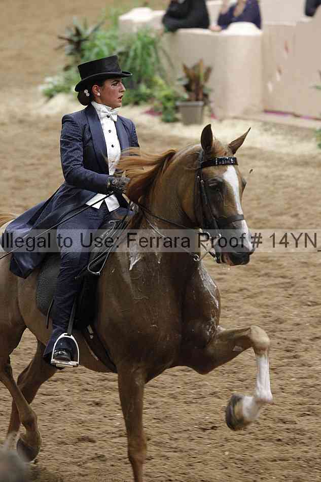 Proof Number 14yn_32010