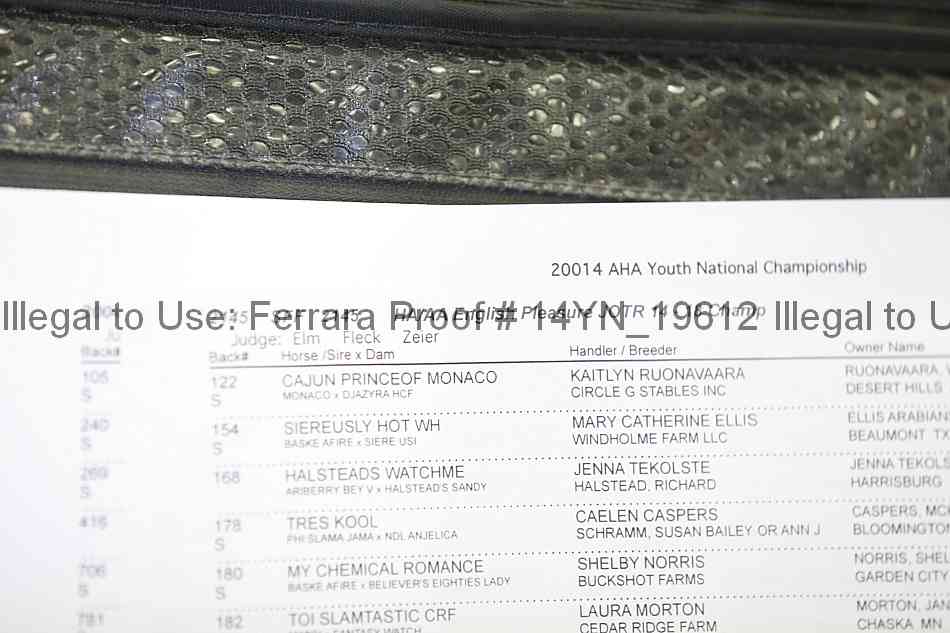Proof Number 14yn_19612