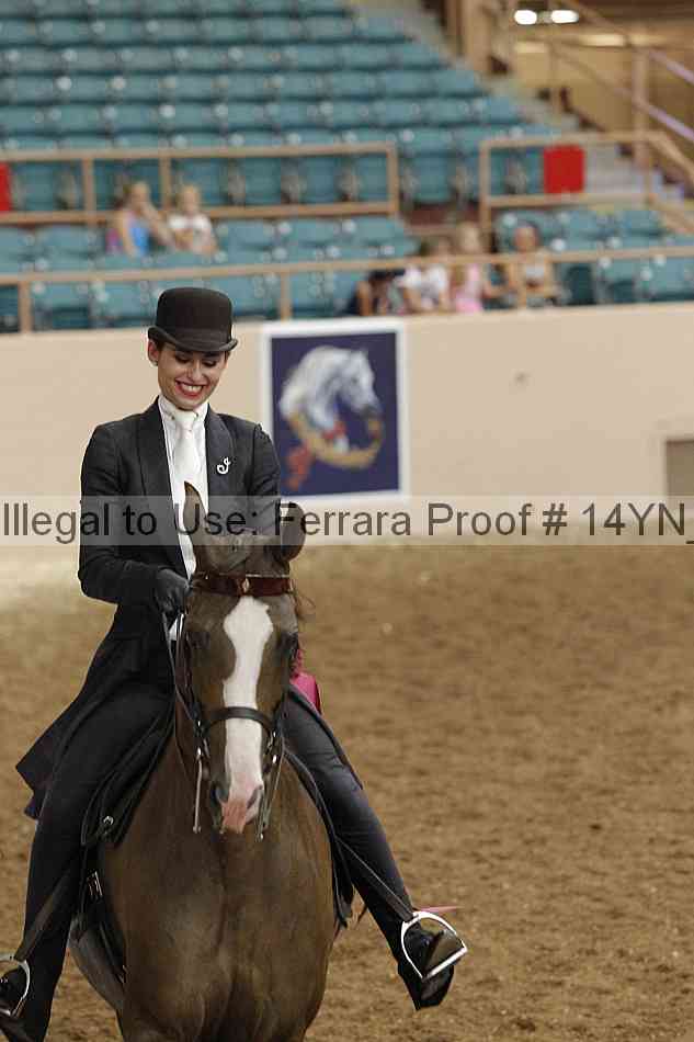 Proof Number 14yn_19779