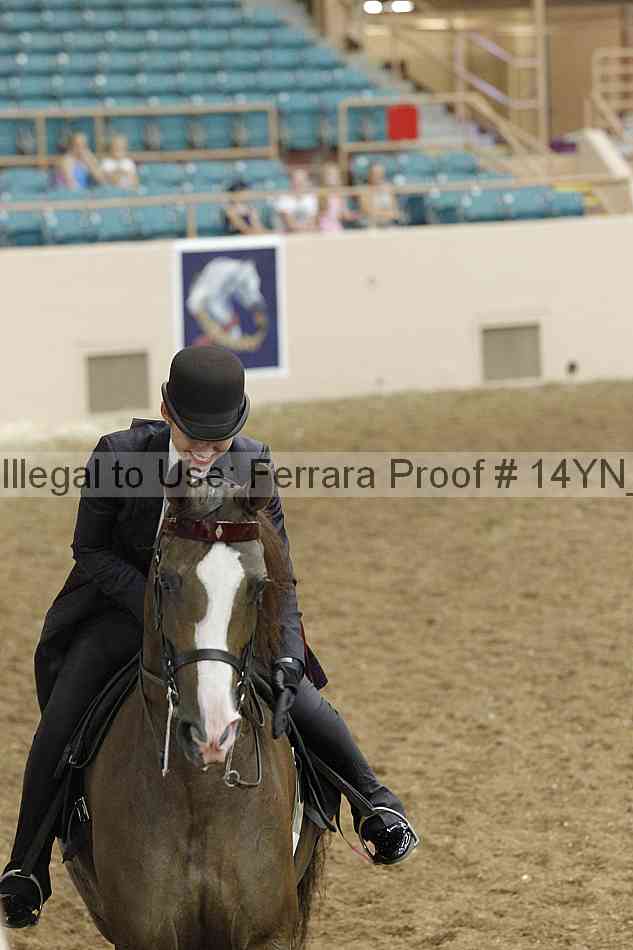 Proof Number 14yn_19780