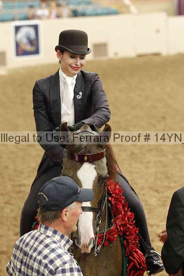 Proof Number 14yn_19793
