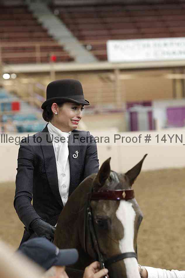 Proof Number 14yn_19799